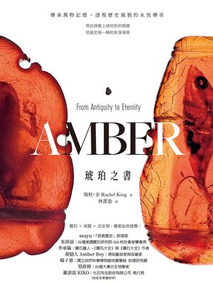 cover image of 琥珀之書